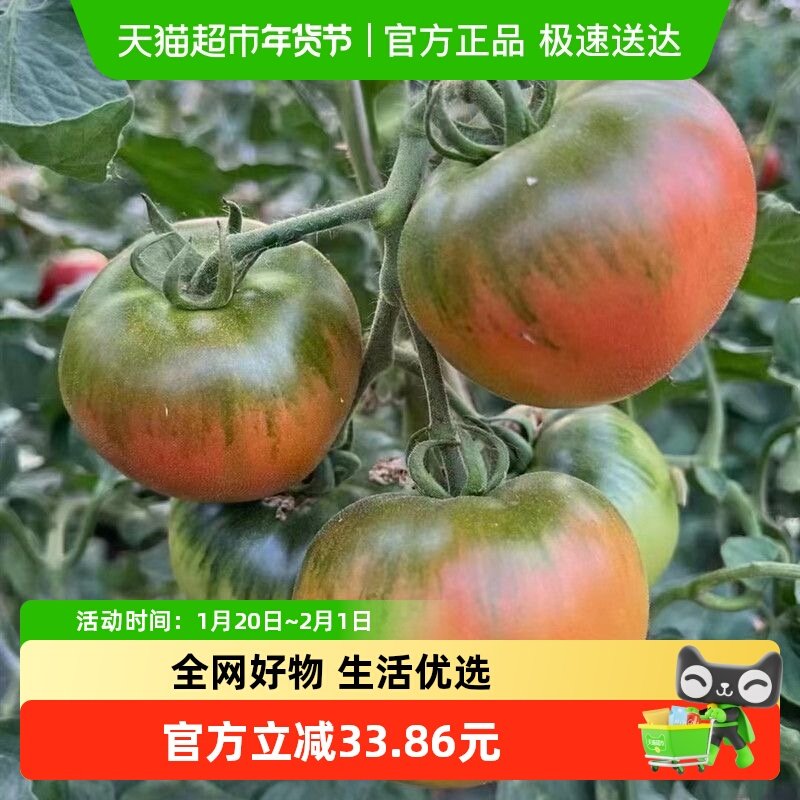 草莓西红柿新鲜自然熟铁皮柿子生吃水果番茄蔬菜,水产肉类/新鲜蔬果/熟食,其它,淘宝优惠券,粉丝福利购,淘宝优惠卷