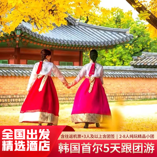 8人小团含机票3人送团签韩国旅游首尔旅游5天4晚半自助游纯玩