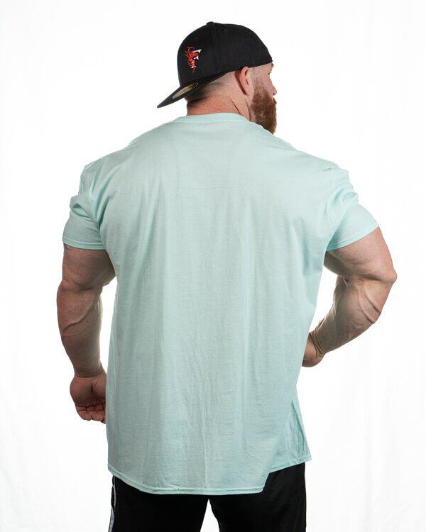 LEWIS ICE SILK COTTON SUMMER COOL T-SHIRT SMALL FIRE DRAGON FITNESS SHORT SLEEVES [EUROPEAN AND AMERICAN SIZE]