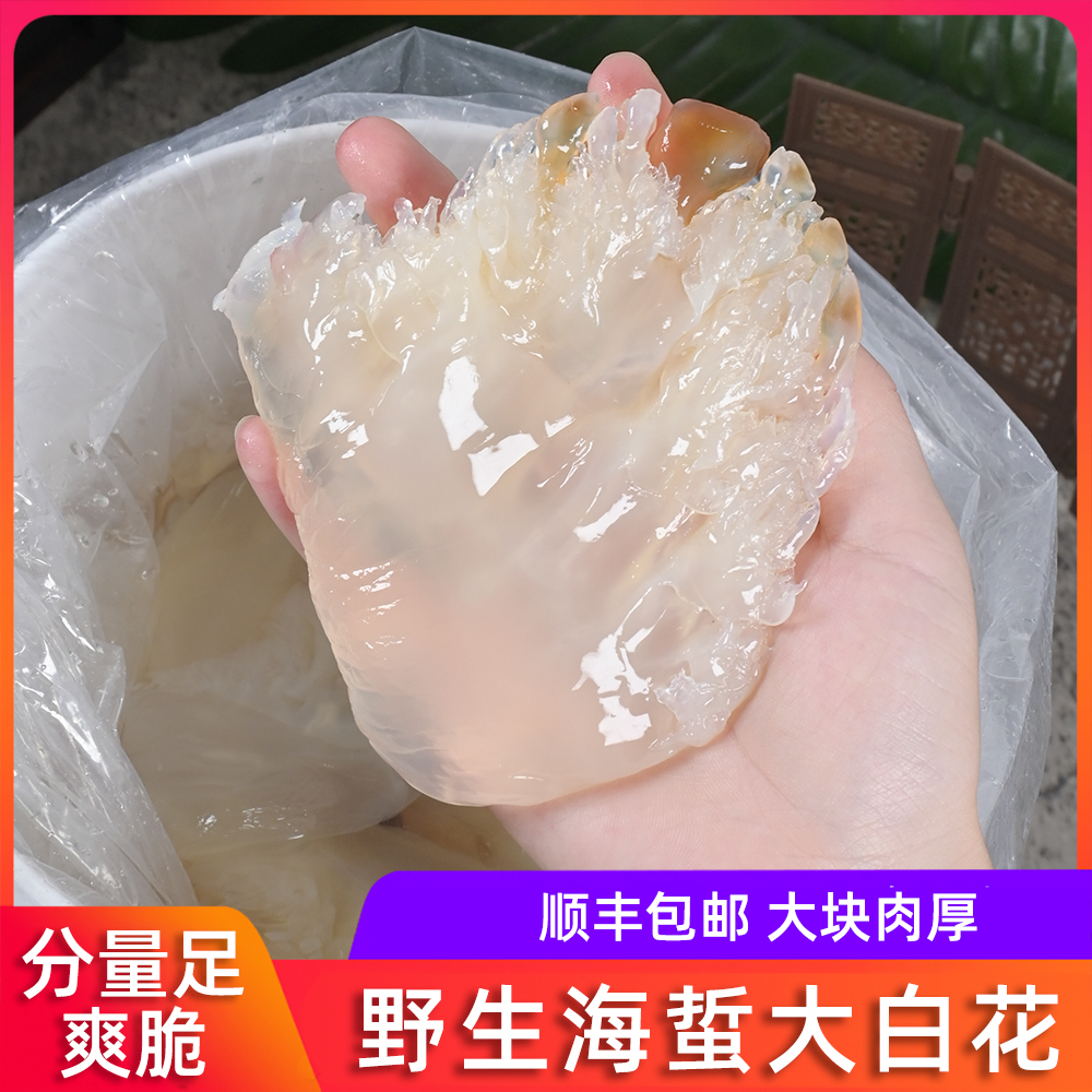 野生海蜇头大白花海蜇头小白花爽脆白海蜇头5斤桶装凉拌菜嘎嘣脆