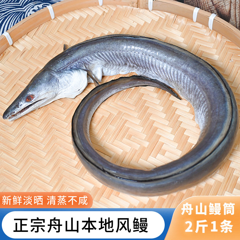 舟山风鳗鱼本地风鳗筒海鳗鱼2斤风鳗干冷冻鳗鲞海鲜特产咸淡适中