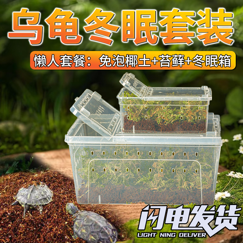 乌龟冬眠盒套装爬宠饲养箱