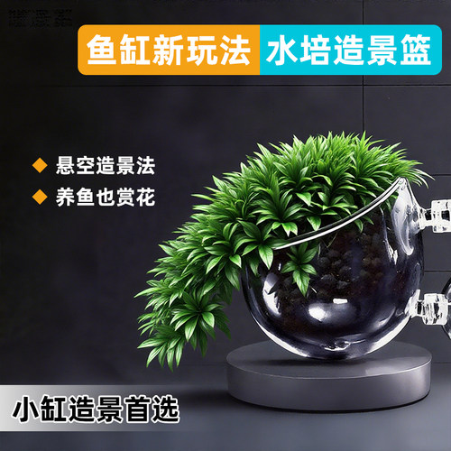 鱼缸壁挂水培植物固定架
