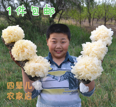 山东农家特产优级银耳白木耳雪耳糯耳非古田250g 无任何熏染！