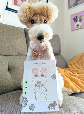 适合儿童的温顺小狗刚毛猎狐梗家庭护卫宠物不掉毛不爱叫狗狗幼犬