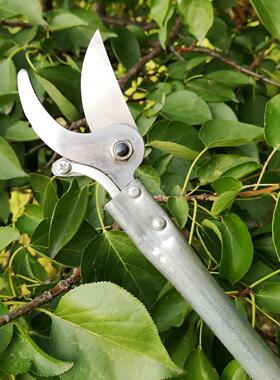 高枝枝XJY剪刀枝高空修剪高剪枝剪 1.5米高空剪树枝长剪刀果树打