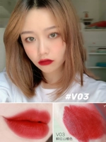 V03-Zhenghong Tyranno