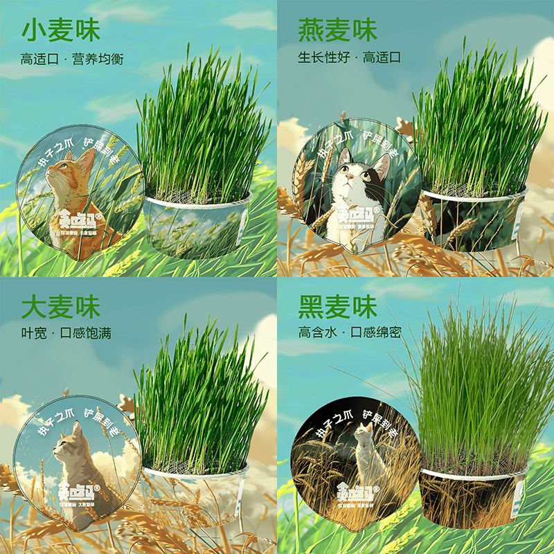 四口味懒人猫草贪吃马