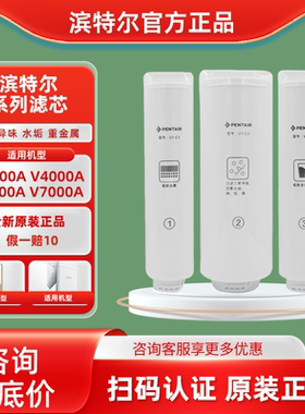 滨特尔净水器S2000-aV3000-a V4000A V7000A T4000原装正品滤芯
