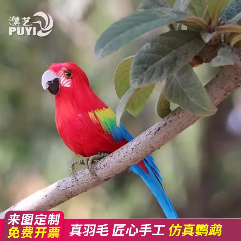 金刚鹦鹉田园摄影道具羽毛摆件图片