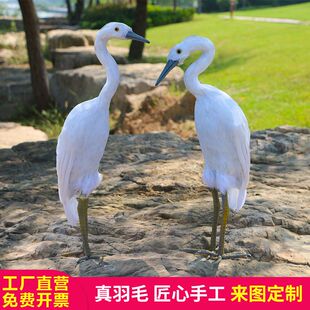 仿真鸟白鹭真羽毛湿地鸟类工艺品摆件教学模型装饰鸟摄影道具田园