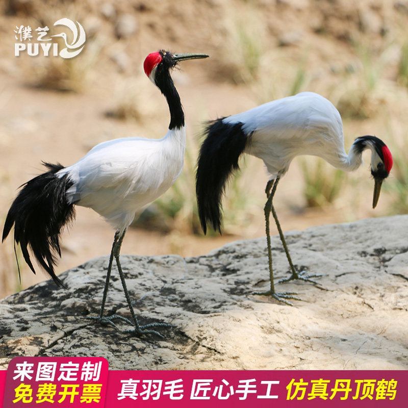 新品仿真丹顶鹤羽毛动物家居新房摆件橱窗装饰鸟类陈美装饰摆件