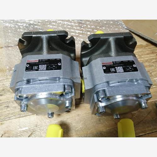 R981PGP2-2X/EVE4R981P