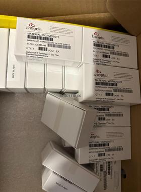 美国Entegris 过滤器WGPMOGGT2