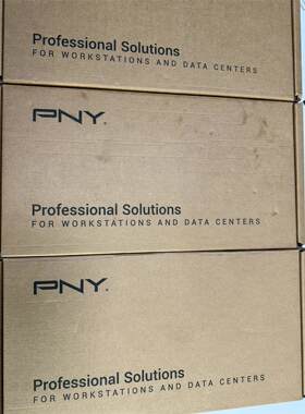全新！PNY专业级固态硬盘