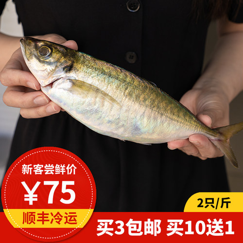 竹筴鱼日料店omakase同款