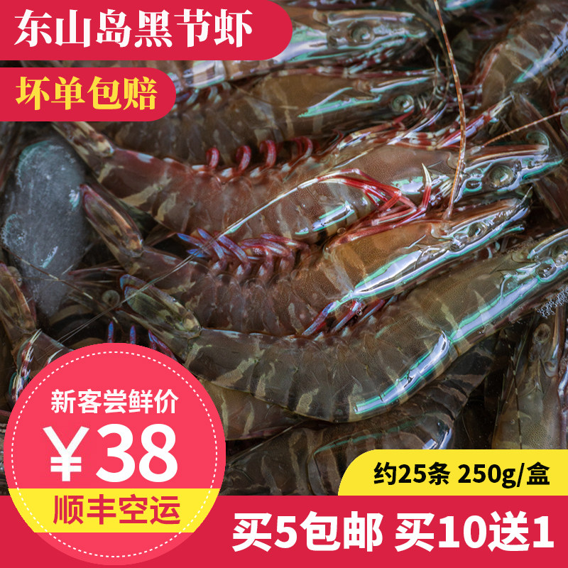 黑节虾 250g约22只 东山岛海鲜 海捕斑节虾 大头虾 鸡冠虾 樱花虾