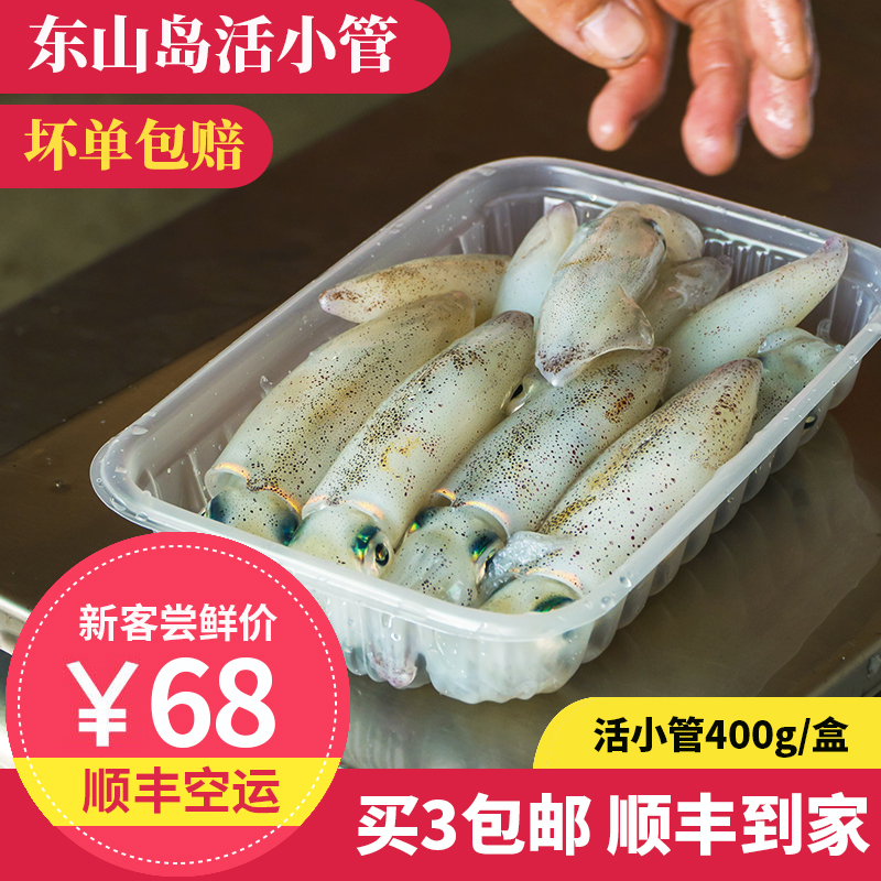 活小管 400g  东山岛海鲜 灯光海捕小鱿鱼 活冻笔管鱼海兔
