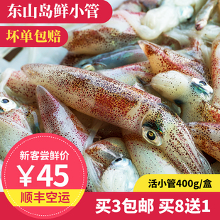 1盒400g 鲜小管 东山岛海鲜 灯光海捕小鱿鱼 鲜冻笔管鱼海兔