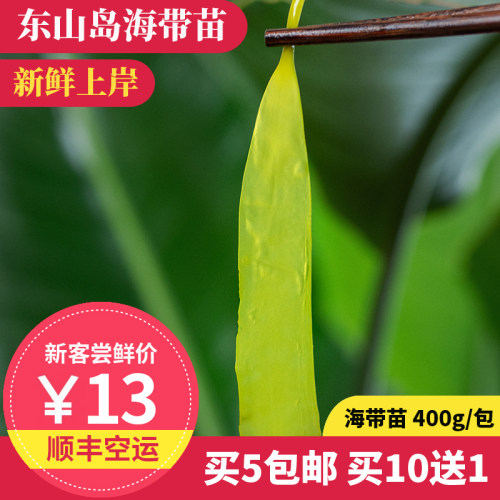拾鲜格格海带苗东山岛海鲜10送1
