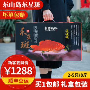 东星斑礼盒 活冻 2-5只 共8斤 东山岛海鲜 深海海捕石斑鱼燕尾斑