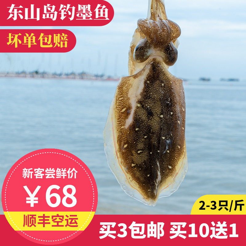 墨鱼 2-3只 500g 东山岛海鲜 海钓墨鱼 活冻品质 可刺身 海捕乌贼