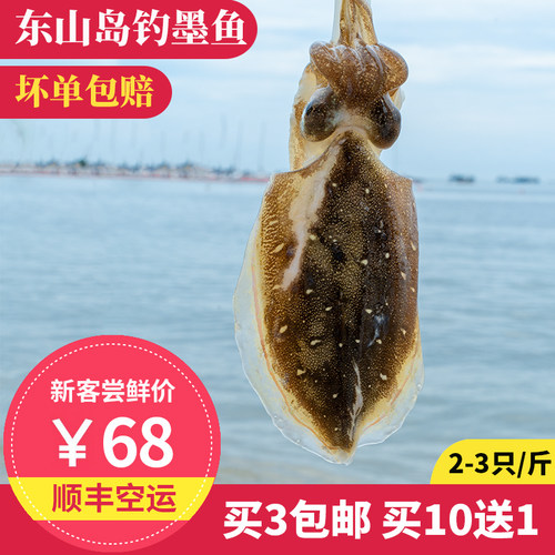 拾鲜格格墨鱼乌贼买10送1