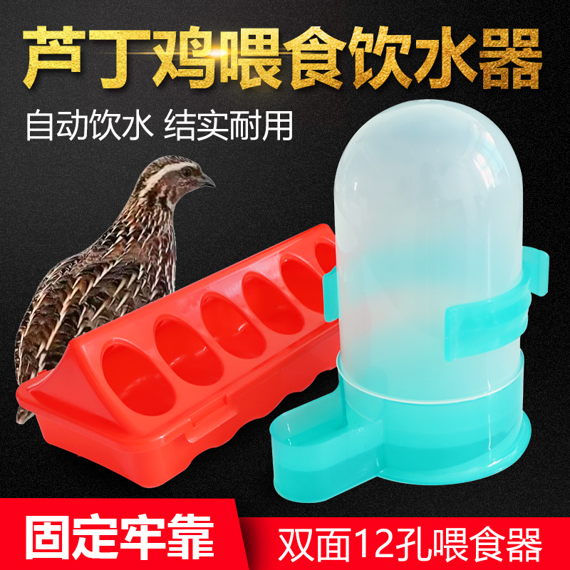芦丁鸡自动喂水壶喂食器鸽子饮水器鹌鹑用具鹦鹉喂食器鸟食盒食槽