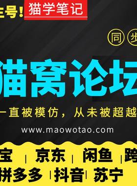 跨境b哥京武门京未来98k电商学院圣淘电商小红书红商学院