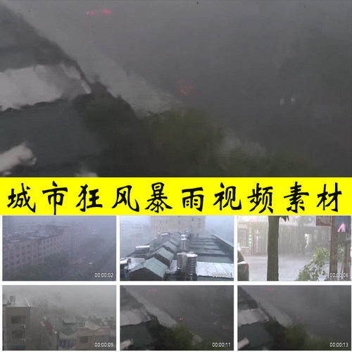 城市狂风暴雨吹大风落大雨台风雨季降雨内涝汛情防汛实拍视频素材