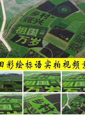 大地农田文字标语口号乡村振兴祖国万岁国家繁荣昌盛MV视频素材