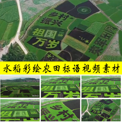 农田水稻彩绘乡村振兴歌颂祖国万岁国家繁荣富强高速发展视频素材