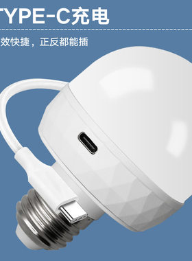带遥控带有磁吸功能Typec充电款七彩RGB灯泡LED氛围灯户外露营灯