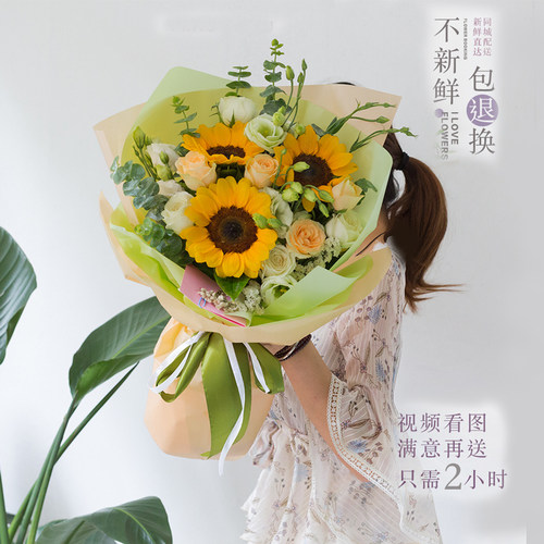 向日葵多少钱 向日葵价格 小麦优选