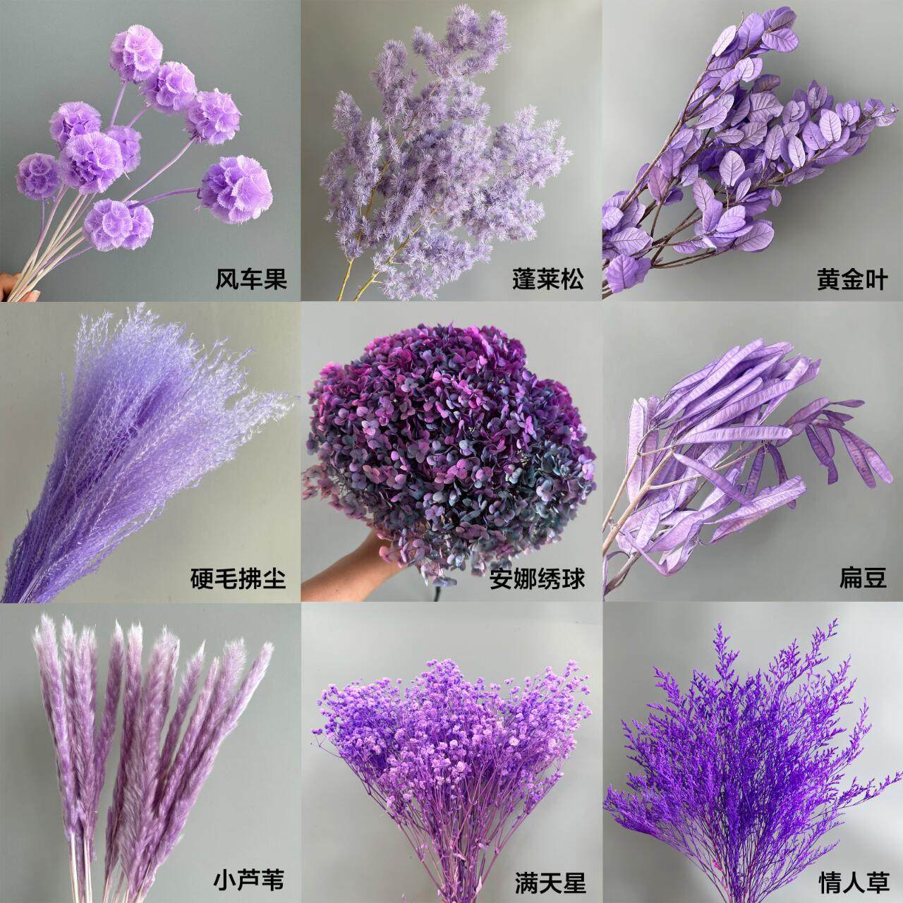 风车果干花花束梦幻紫色莫兰迪