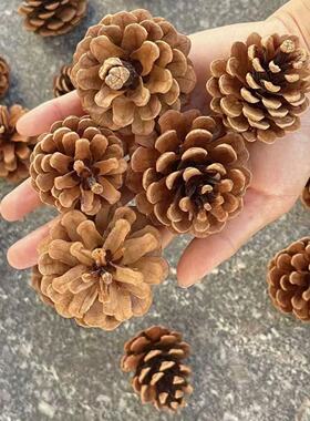 野生手工松果干花圣诞树装饰