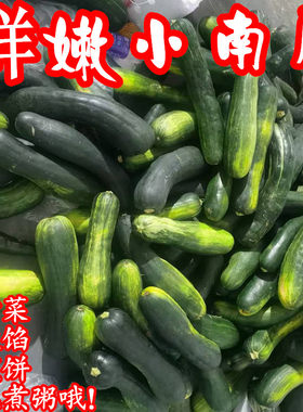 嫩南瓜农家新鲜蔬菜青窝瓜现摘