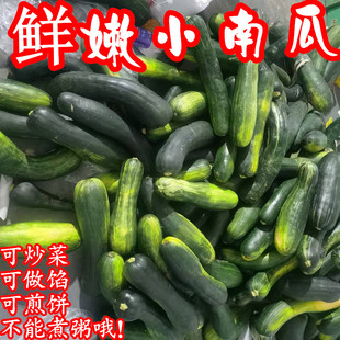 河南嫩南瓜新鲜菜黑皮南瓜嫩倭瓜青窝瓜现摘嫩绿南瓜包饺子一整箱