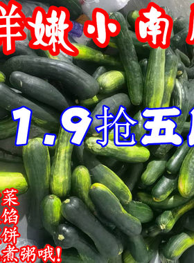 嫩南瓜新鲜黑皮南瓜绿窝瓜嫩倭瓜