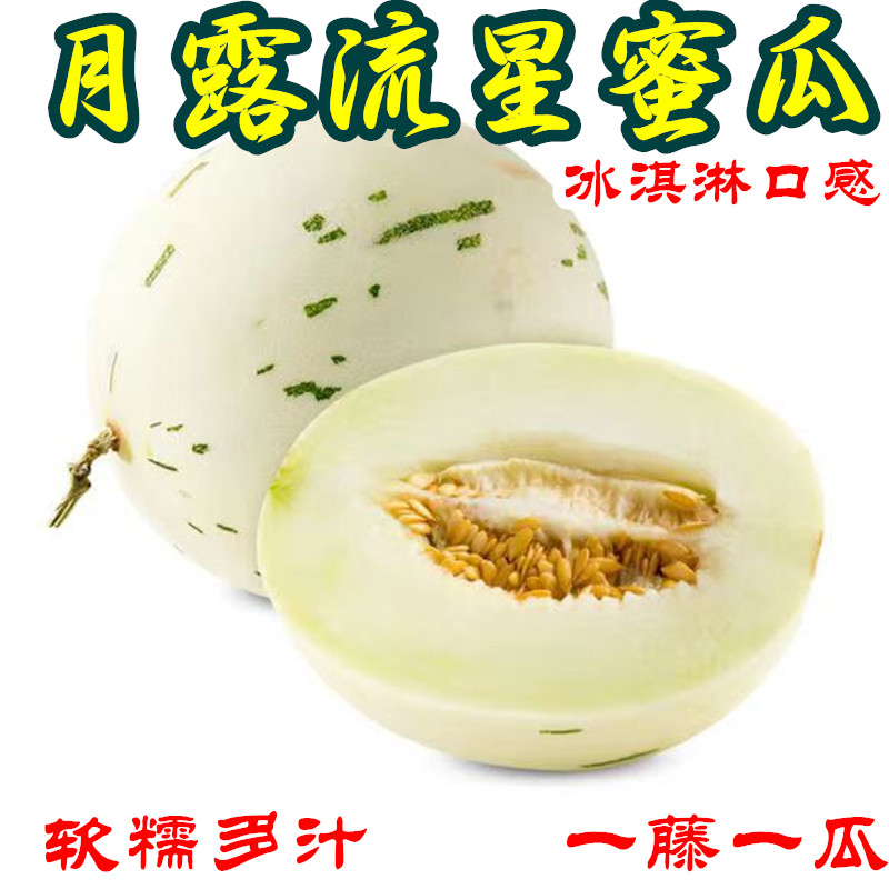 头茬流星蜜瓜水果冰淇淋口感月露流星蜜瓜软糯梦露蜜瓜整箱现摘