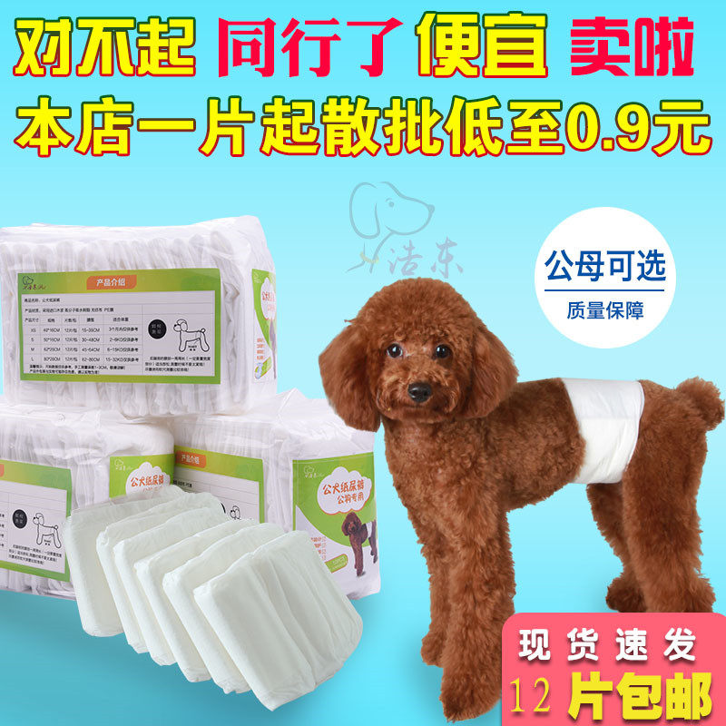 包邮专用防侧漏礼貌带小型公狗