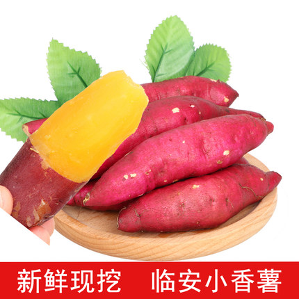 临安小香薯精品中果5斤装农家自种地瓜小红薯天目山番薯包邮