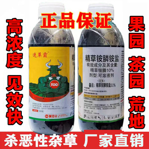 精草铵膦铵盐除草剂牛筋草恶性杂草果园茶园树林荒地行间小飞蓬