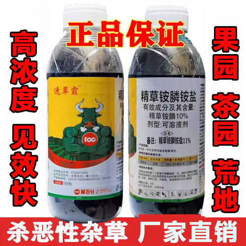 精草铵膦铵盐除草剂牛筋草恶性杂草果园茶园树林荒地行间小飞蓬
