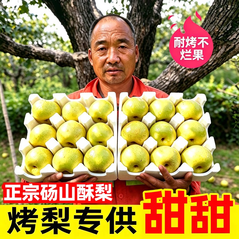 砀山梨烤梨专用梨商用批发酥梨新鲜现摘脆甜小梨现货整箱包邮10斤
