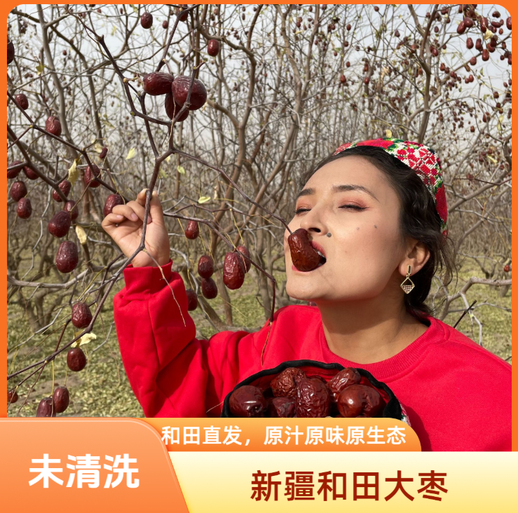 【新疆直发】25年和田大枣带土带灰 自然吊杆 未清洗