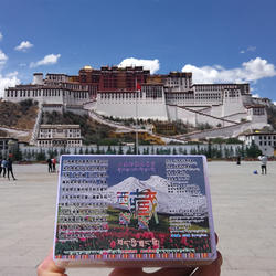 西藏野花蜂巢蜜500g嚼着吃高原农家自产纯野生百花无糖土蜂蜜天然
