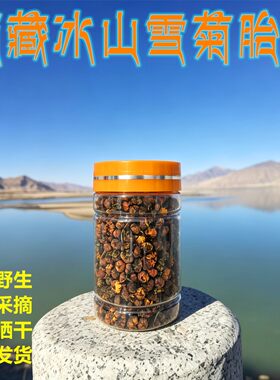 西藏雪菊野生冰山雪菊王高原胎菊