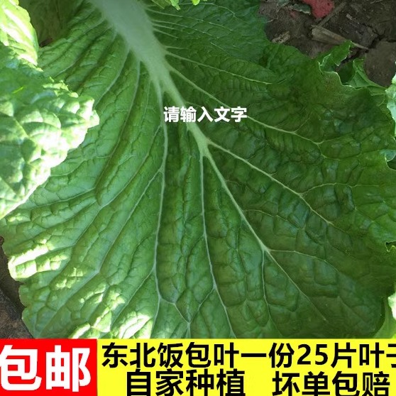 新鲜一份25叶饭包现摘东北菜