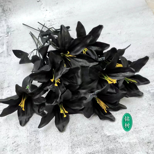 黑百合仿真假绢人造花万圣萝莉客厅居家摆设酒吧哥特暗黑单支婚礼